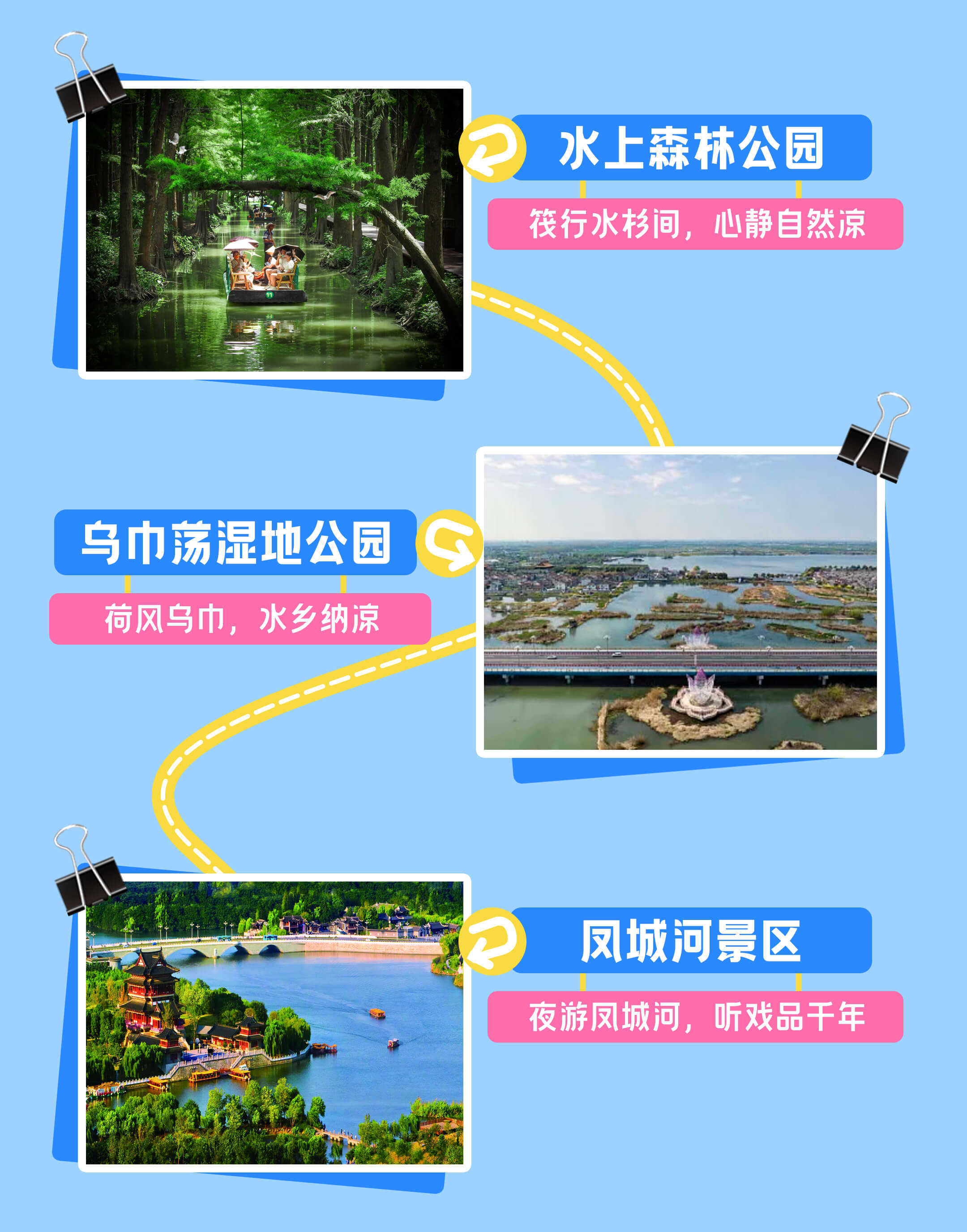 水杉林间荷塘采莲
